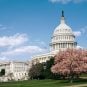 US Capitol