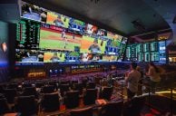 Sports Bettors Comprise 1 in 5 US Adults, New Study Claims