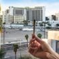 marijuana Las Vegas cannabis casino gambling