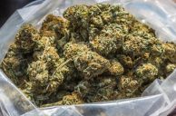 Nevada’s Strict Cannabis Classification Ruled Unconstitutional