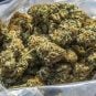 Nevada’s Strict Cannabis Classification Ruled Unconstitutional