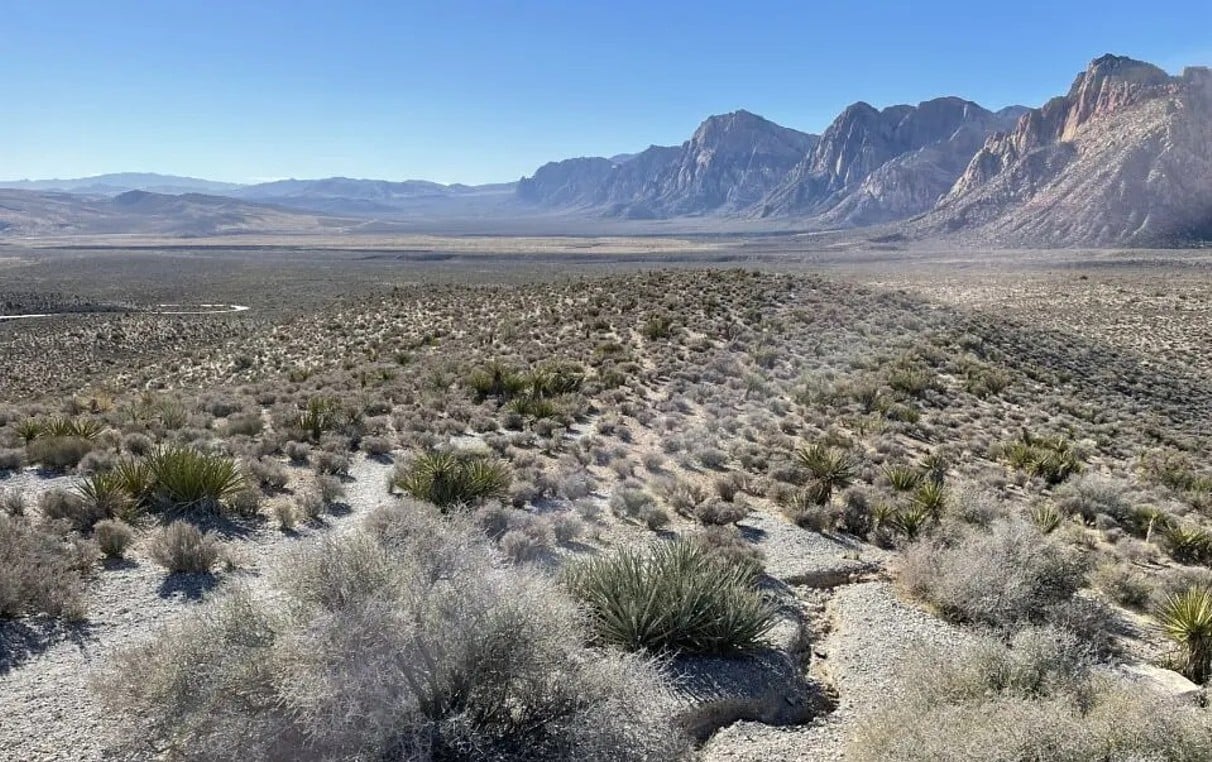 Batu Merah Kering Tulang Las Vegas Mungkin Menggunakan Awan Pembibitan sebagai Sumber Air