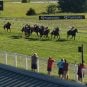 Kentucky Downs