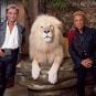 Siegfried & Roy series Las Vegas magic