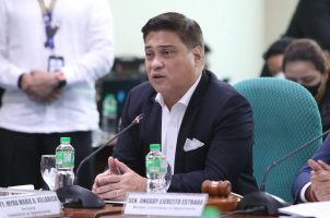 Senate President Juan Miguel Zubiri