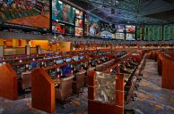 Sports Bettors Likely to Spend Big this Fall, Survey Says