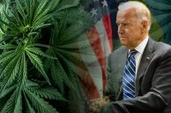 Marijuana Rescheduling Odds Remain Long Despite Presidential Pardons