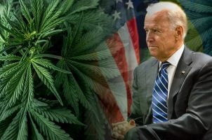 cannabis marijuana Schedule 1 Biden pardon