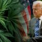 cannabis marijuana Schedule 1 Biden pardon