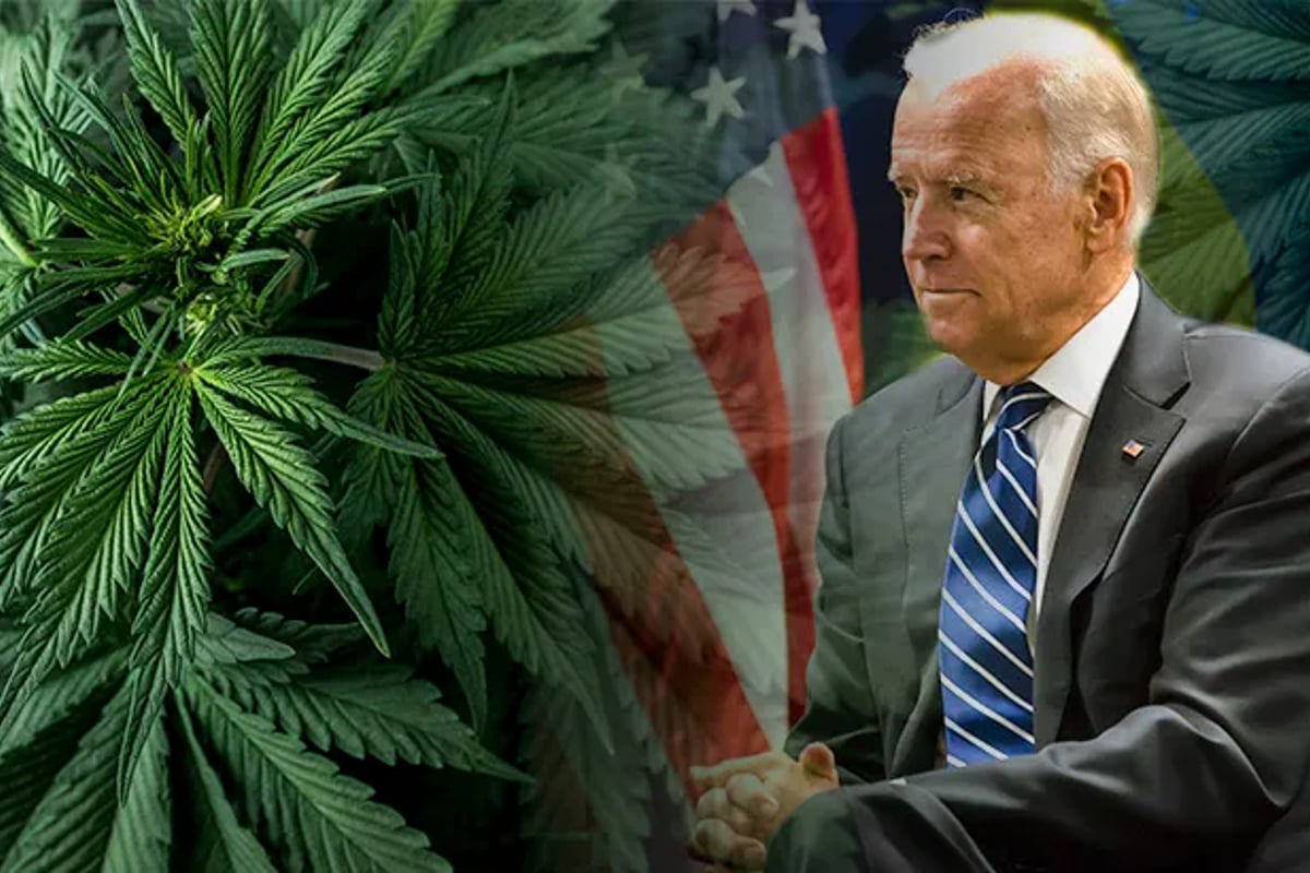ganja mariyuana Jadwal 1 Pengampunan Biden