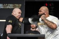 Dana White Gets Slap Fighting Approved as Actual Nevada Sport