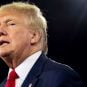 Donald Trump odds 2024 midterms Republican