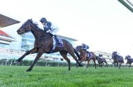 Australia’s Betr Sportsbook Comes up Lame with Melbourne Cup Bettors