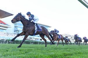 Australia’s Betr Sportsbook Comes up Lame with Melbourne Cup Bettors