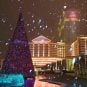 Caesars Palace Las Vegas casino slot jackpot