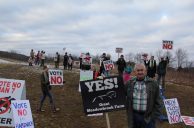 Massachusetts Voters Reject Another Horse Racetrack Sportsbook Development