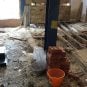 Botched repair