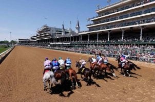 Jockeys participate in a horse race