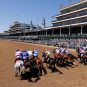 Jockeys participate in a horse race