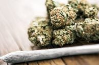 Las Vegas City Council Tables Cannabis Lounge Vote to Mull Changes