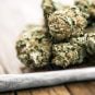 Las Vegas City Council Tables Cannabis Lounge Vote to Mull Changes