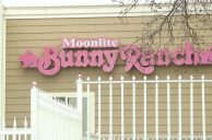 Nevada Sex Worker Claims Innocence After Arrest for Brothel Shooting