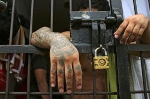 A prisoner leans on the bars of a Colombian jail cell