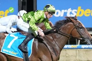 Sportsbet's branding adorns a race horse