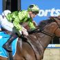 Sportsbet's branding adorns a race horse