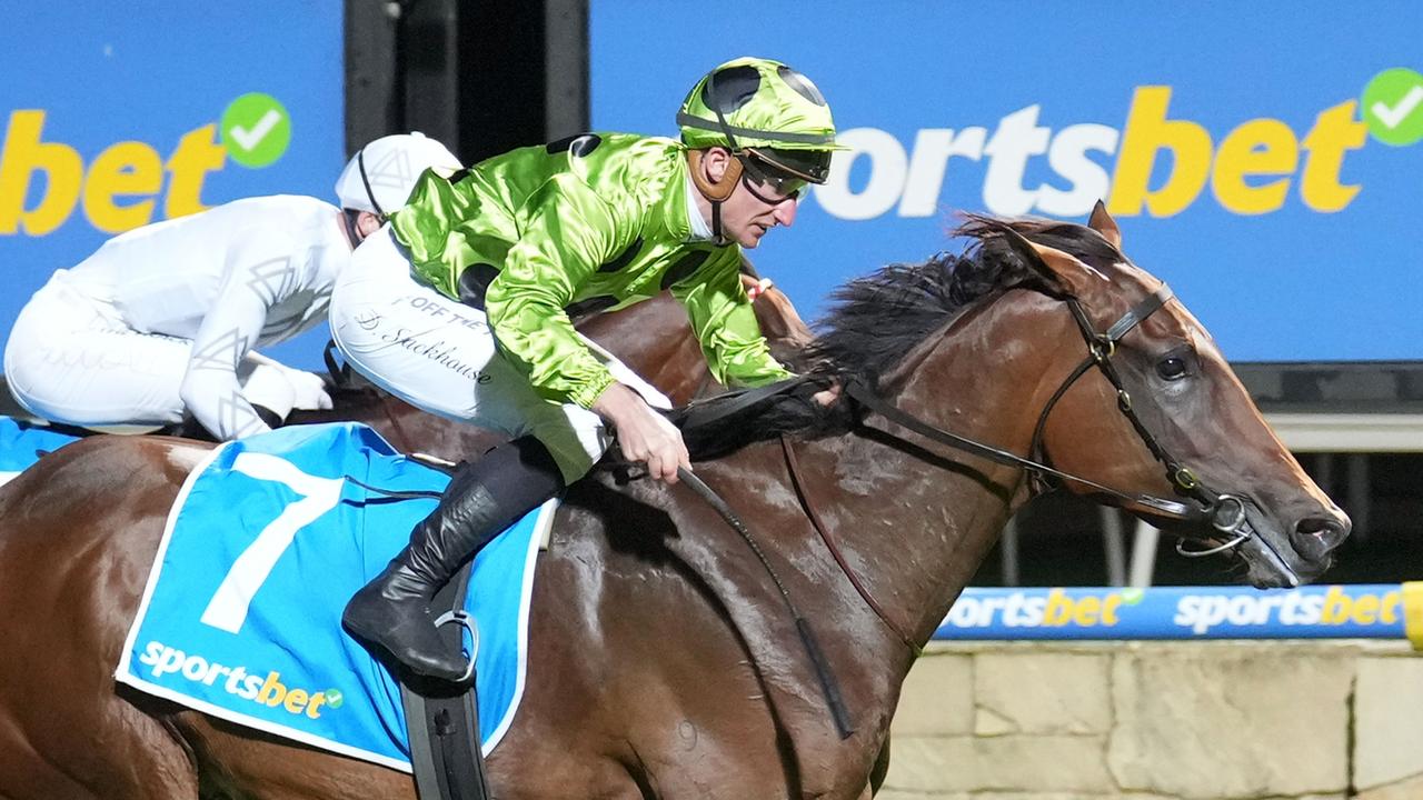 Sportsbet's branding adorns a race horse