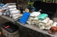 Washington State Casinos Helped Drugs Gang Launder $1M