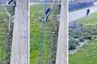 Mafia Boss Escapes Prison by Knotting Bed Sheets Together