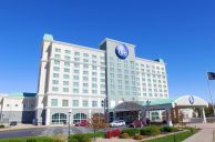 Casino Crime Roundup: Iowa Casino Fight Leads to Hospitalization, Dog Drugged at Harrah’s Laughlin