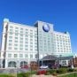 Casino Crime Roundup: Iowa Casino Fight Leads to Hospitalization, Dog Drugged at Harrah’s Laughlin
