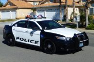 Las Vegas Police Conduct Airbnb Spot-Checks to Bust Spring Break Parties