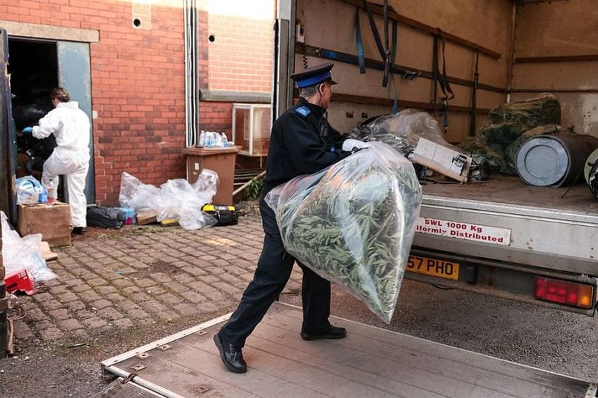 Police haul away marijuana from an illegal farm in England