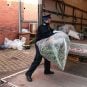 Police haul away marijuana from an illegal farm in England