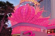 Jackpot: Flamingo Las Vegas Player Wins $499K, Another Hits $1.3M