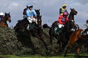 Grand National, Hill Sixteen, Animal Rising, Sandy Thomson