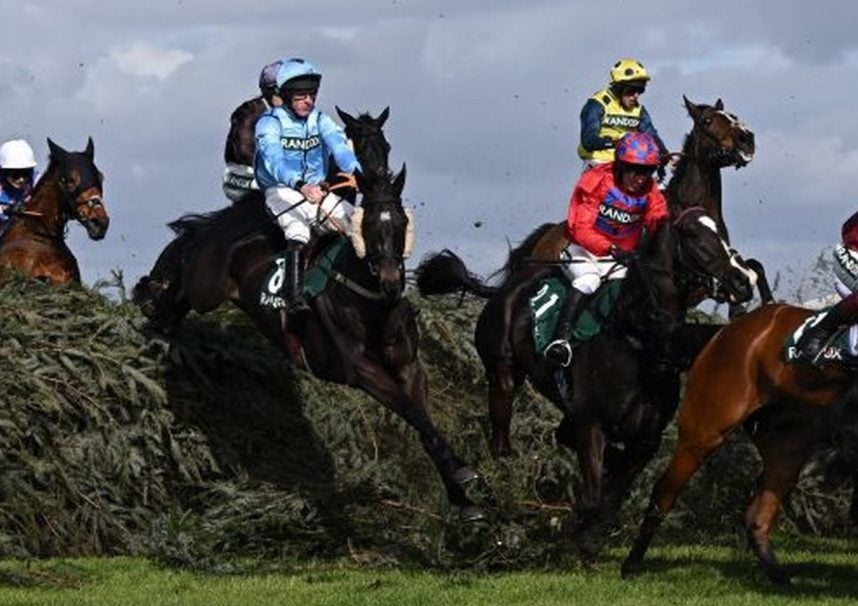 Grand National, Hill Sixteen, Animal Rising, Sandy Thomson