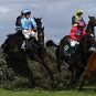 Grand National, Hill Sixteen, Animal Rising, Sandy Thomson