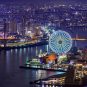 The ferris wheel at Tempozan Harbor Village in Osaka, Japan lit up at night
