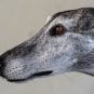 Florida, greyhound racing, D’Arcy Kennel