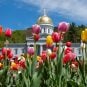 Vermont sports betting online sportsbooks