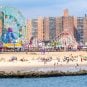 Coney Island casino New York Community Board
