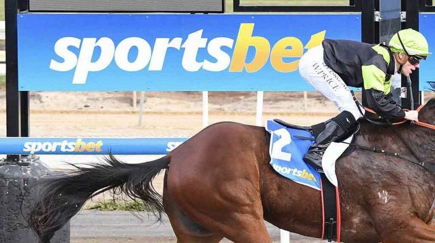 A Sportsbet sign appears behind a jockey and horse during a race