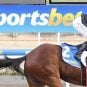A Sportsbet sign appears behind a jockey and horse during a race