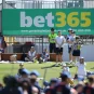 Bet365's sign promoting betting at a test cricket match in Australia