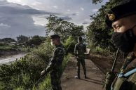 ‘Pig Butchering’ and Gambling Scams in SE Asia on the Rise