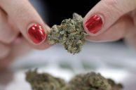Puff, Puff, Passage: Cannabis Scores Two Major Vegas Victories This Week